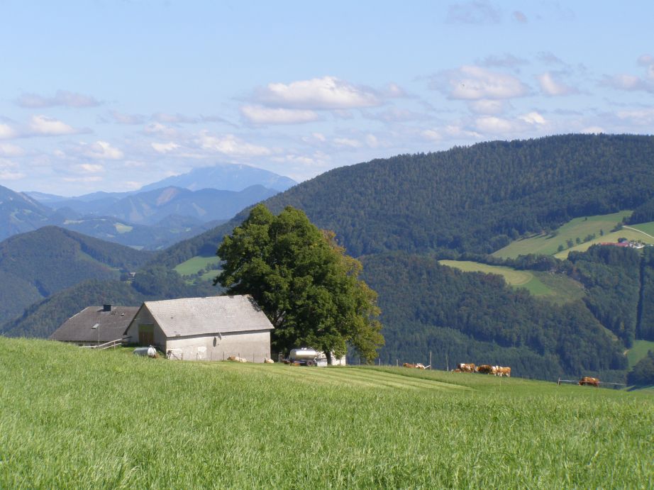 Blick auf den tscher